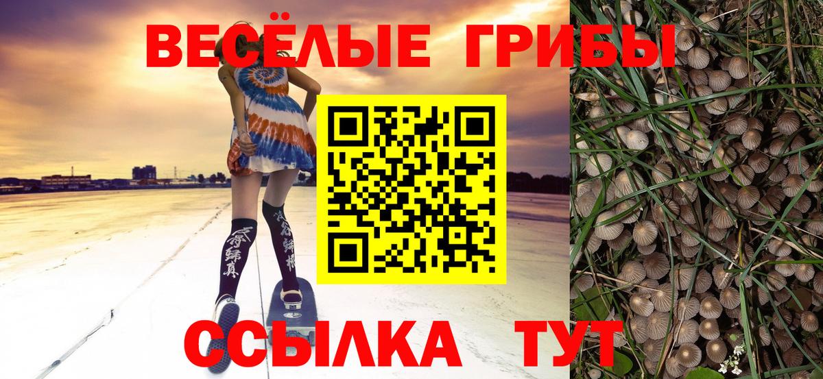 Псилоцибиновые грибы MAGIC MUSHROOMS Хабаровск
