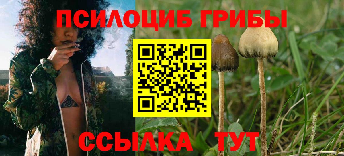 Галлюциногенные грибы Cubensis  Галлюциногенные грибы Psilocybine cubensis  Вход с VPN  Хабаровск 
